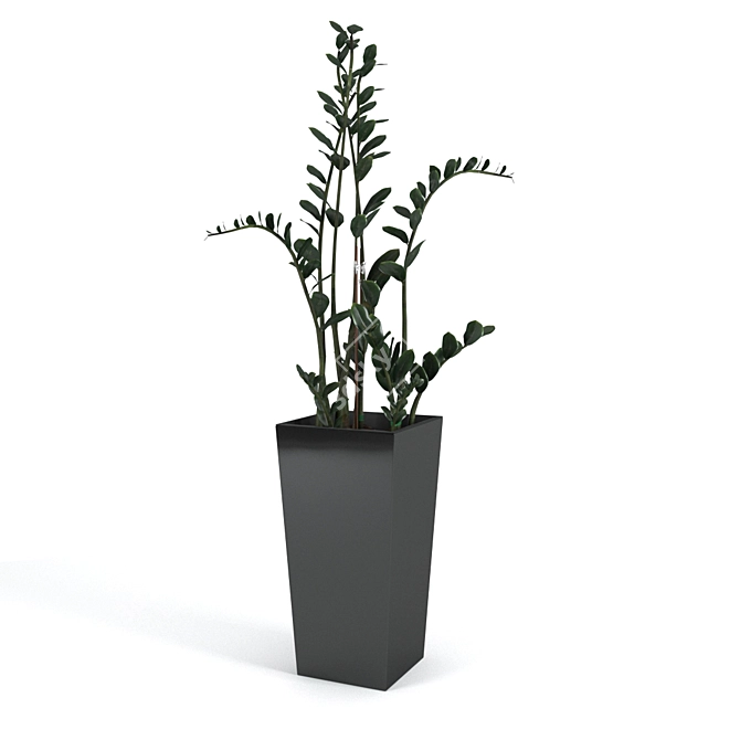 Zamioculcas Home: Ideal Greenery for Your Windowsill! 3D model image 1