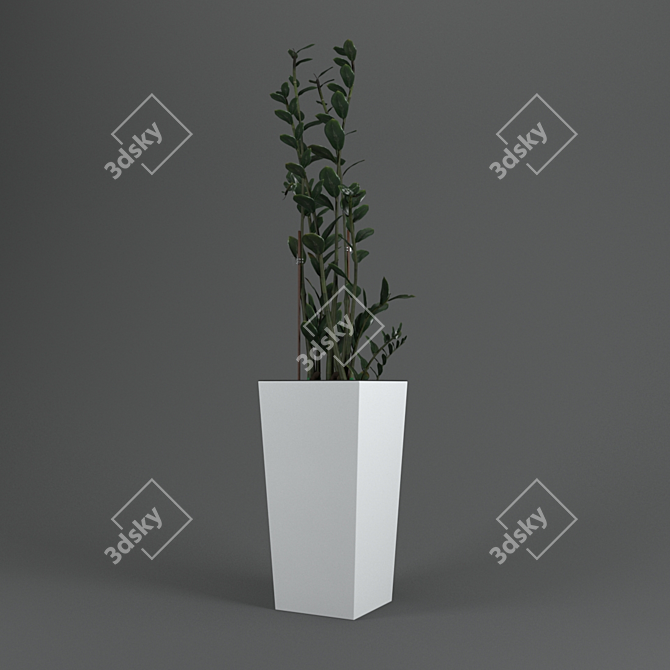 Zamioculcas Home: Ideal Greenery for Your Windowsill! 3D model image 3