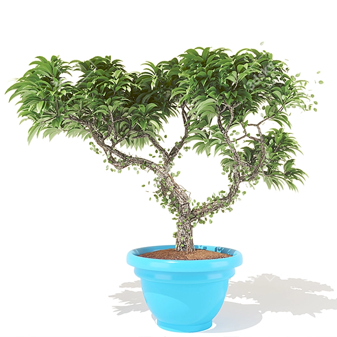 Frangipani Ivy: High Poly, Growfx, Corona 3D model image 2