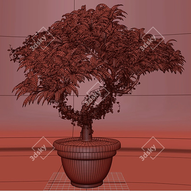 Frangipani Ivy: High Poly, Growfx, Corona 3D model image 3