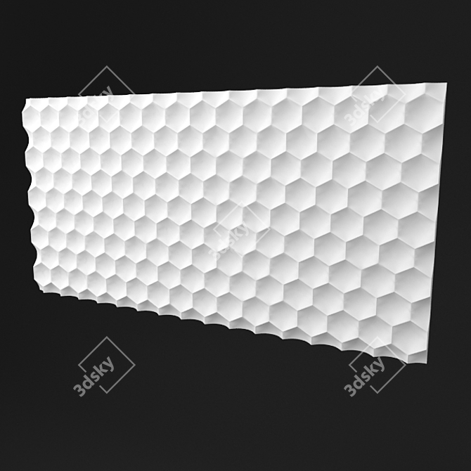 Honeycomb Geometry 3D Panel 3D model image 2