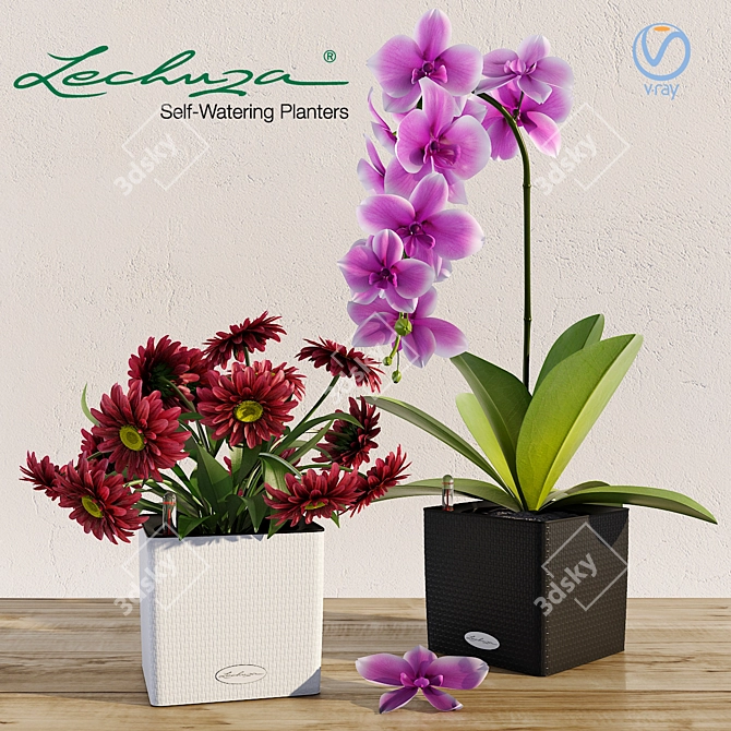 Lechuza Cube LS 35: Smart Pot for Orchids & Flowers! 3D model image 1