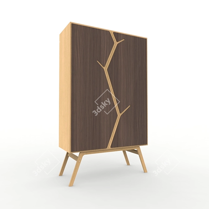 Vintage Closet: 3D Retro Wardrobe 3D model image 1