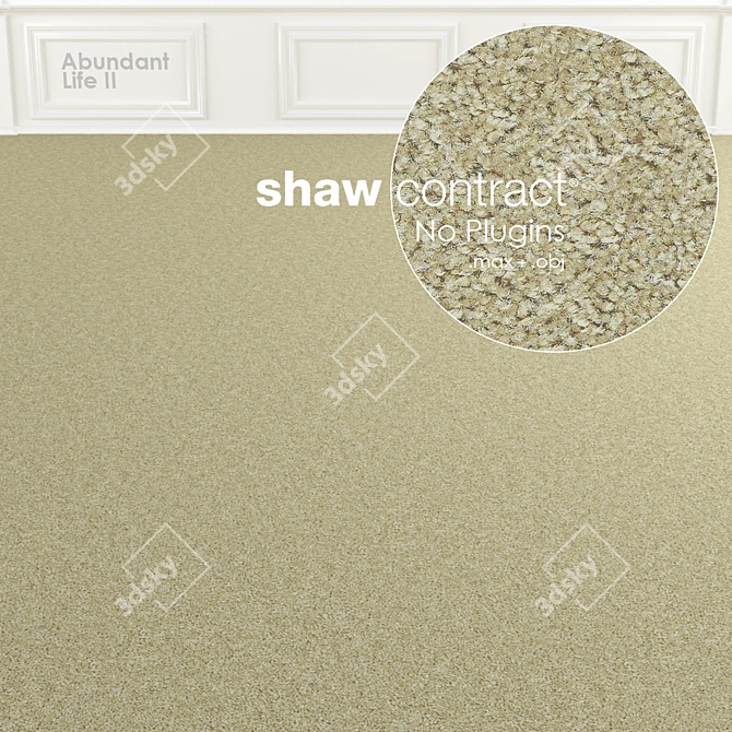 Shaw Abundant Life II Carpet 3D model image 2