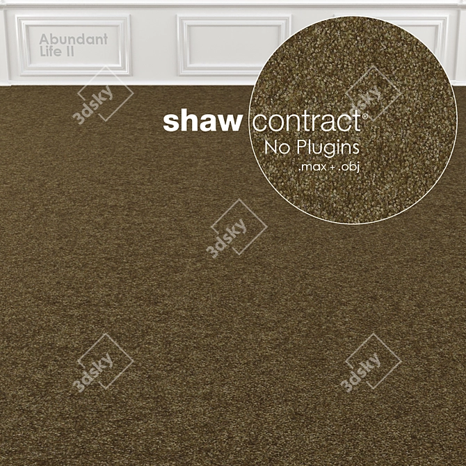 Shaw Abundant Life II Carpet 3D model image 3