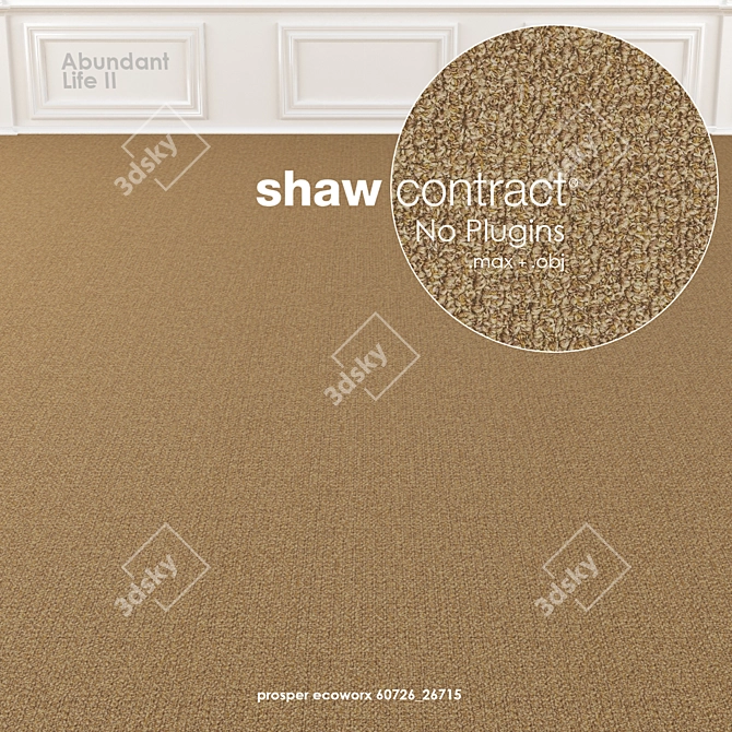 Shaw Abundant Life II Carpet 3D model image 2