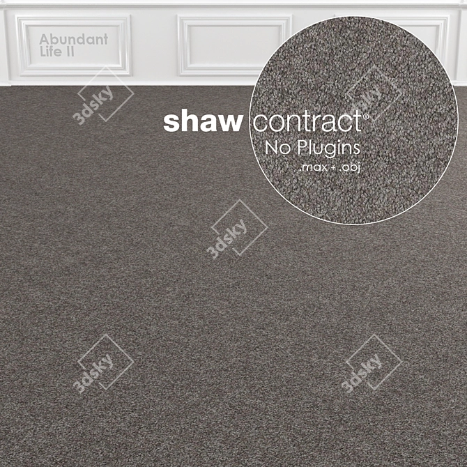Shaw Abundant Life II Carpet 3D model image 3