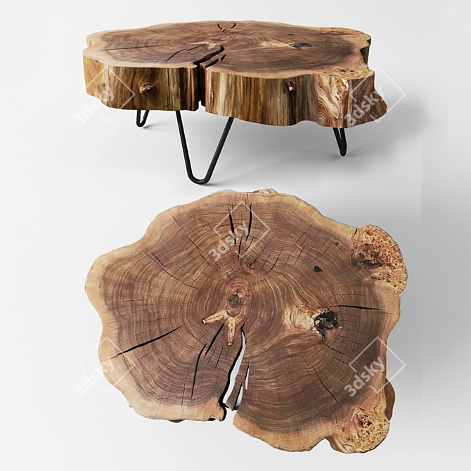 Karagach Elm Coffee Table 3D model image 1