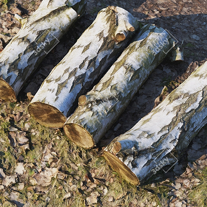 Forest Birch Stumps: 3D Model 3D model image 2