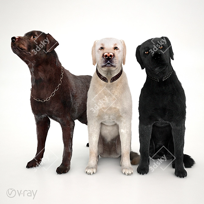 Furry Labs: Detailed Fur Setup 3D model image 1