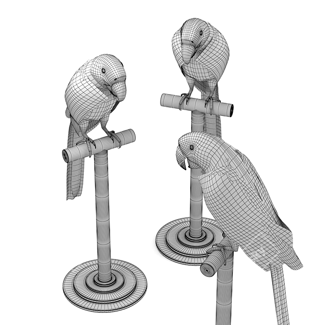 Feathered Beauty: Macaw 3D model image 2