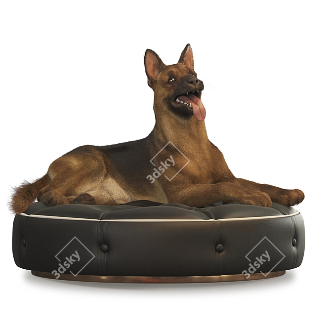 Title: German Shepherd Dog Statue 3D model image 1