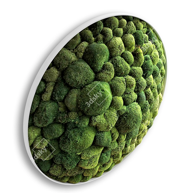 Moss Boulder Panel: D800mm, UV-Mapped, V-Ray Render 3D model image 5