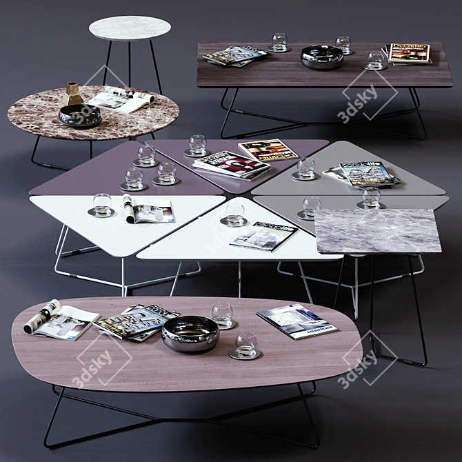 Modern Ditre Italia Coffee Table Set 3D model image 1