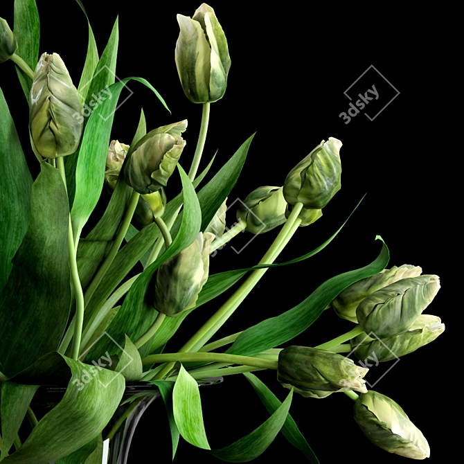 Realistic Green Parrot Tulips - Glass Vase & Water Decoration 3D model image 2