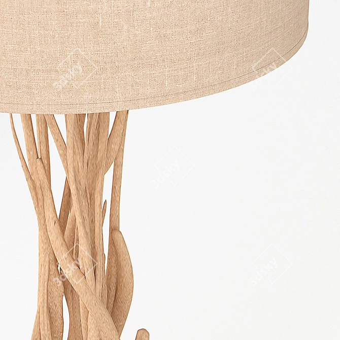 Driftwood Natural Wood Floor Lamp 3D model image 2