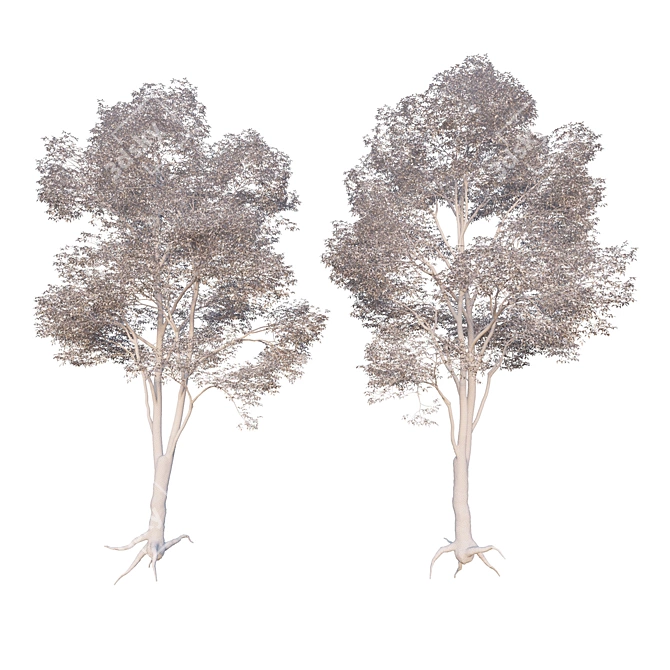 Architectural Tree Model - Perfect for Visualization 3D model image 2