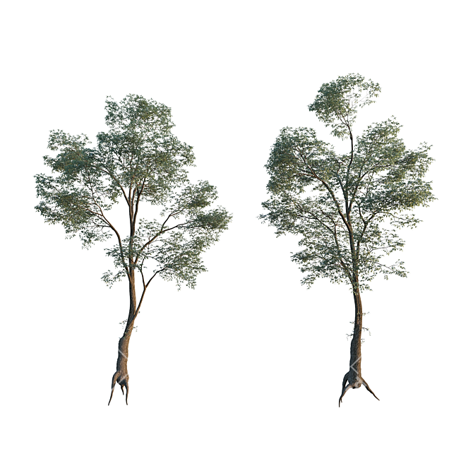 Architectural Tree Model 3D model image 1