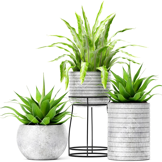 Tropical Fern and Agave Duo 3D model image 1