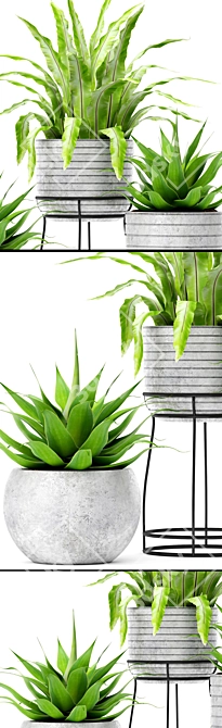 Tropical Fern and Agave Duo 3D model image 2