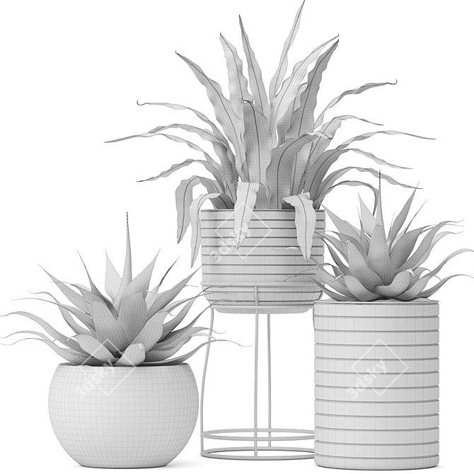 Tropical Fern and Agave Duo 3D model image 3
