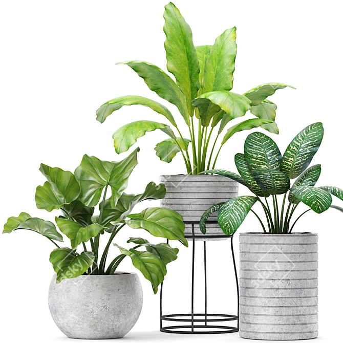 Botanical Bliss: 14 Potted Plants 3D model image 1