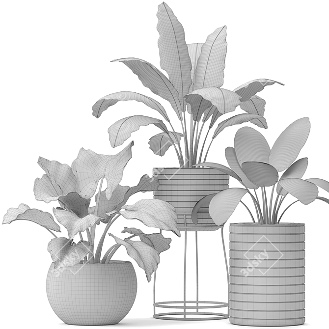 Botanical Bliss: 14 Potted Plants 3D model image 3