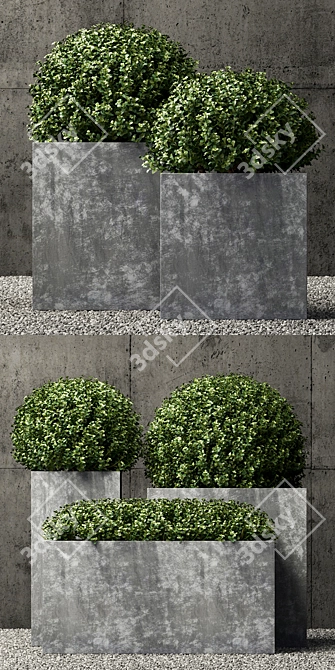 Luxury Zinc Square Planters 3D model image 2