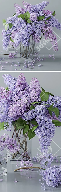 White Lilac 4: Archive Max 2011 3D model image 2