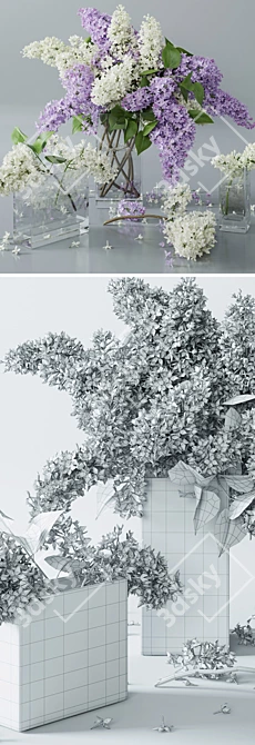 White Lilac 4: Archive Max 2011 3D model image 3
