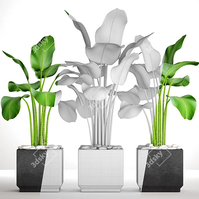 Botanical Pot Collection 3D model image 3