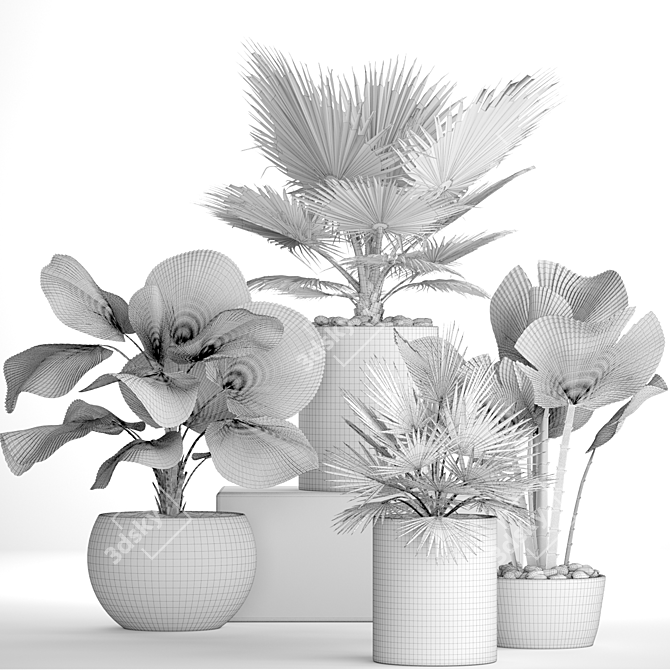 Tropical Paradise: Palm Collection 3D model image 3