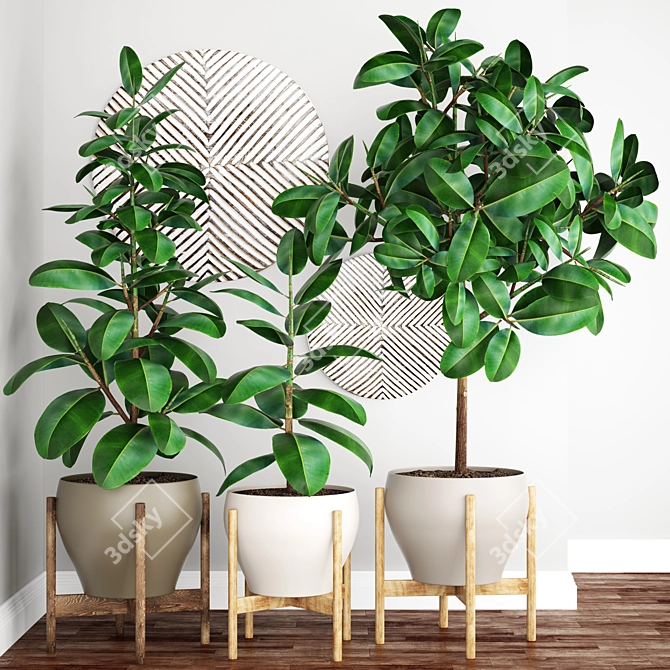 Ficus Robusta: Exquisite Potted Plant 3D model image 1