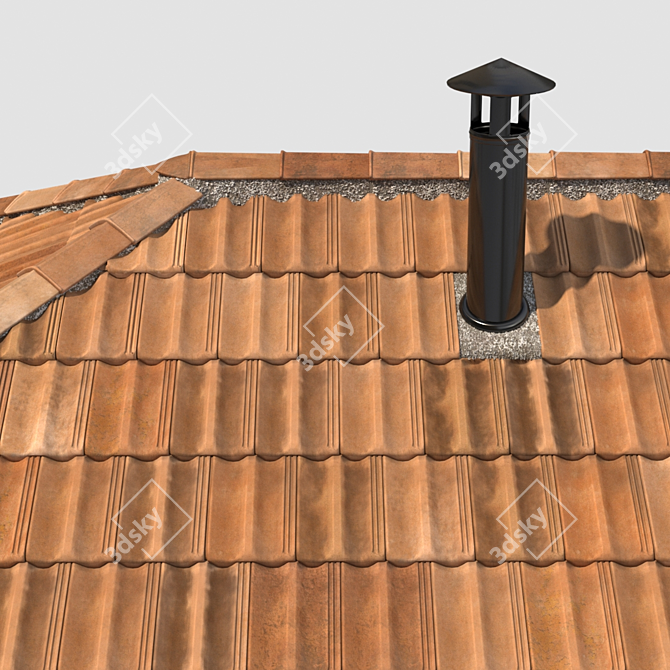 Authentic French Tile Roof 3D model image 3