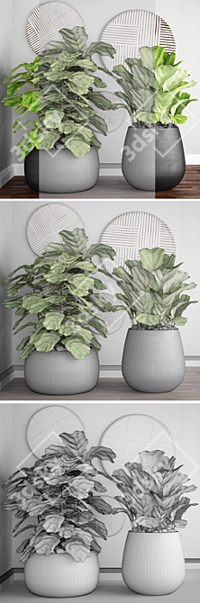 Ficus lyrata: Stunning Potted Plant 3D model image 3