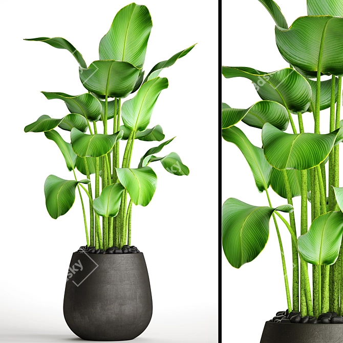 Leafy Bliss: Potted Plant Delight 3D model image 1