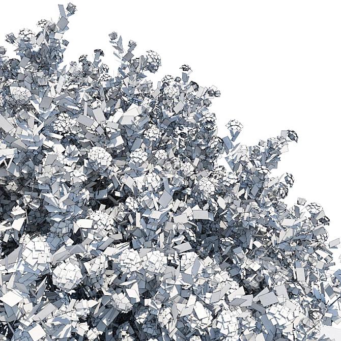 Flowering Spiraea Shrub - 1.2m 3D model image 3