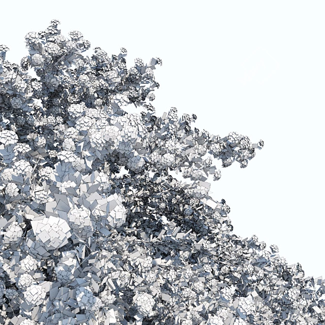  Blooming Spiraea Shrub 2 3D model image 3