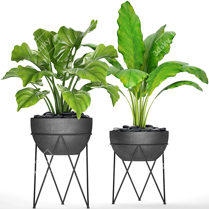 Potted Plant Collection - 25 Varieties 3D model image 1