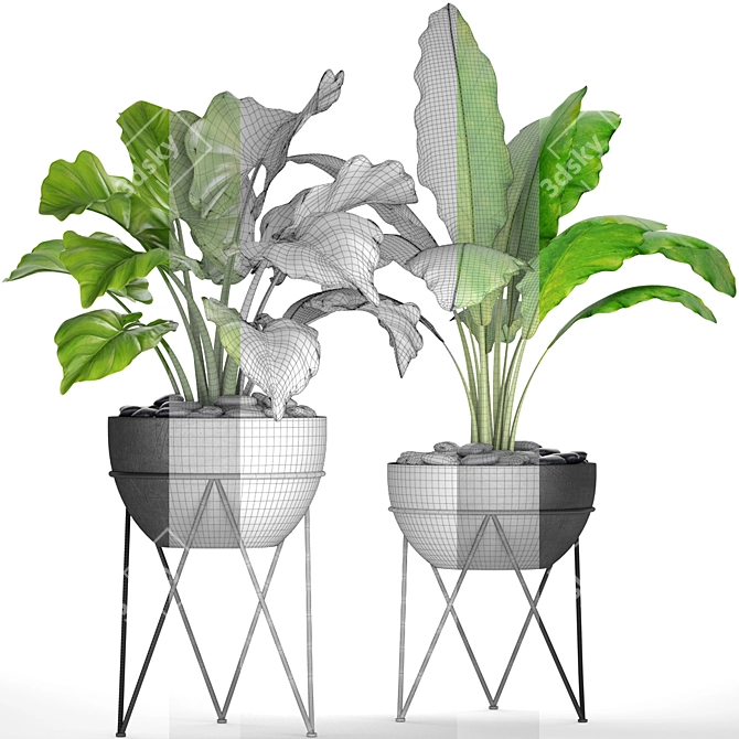 Potted Plant Collection - 25 Varieties 3D model image 3