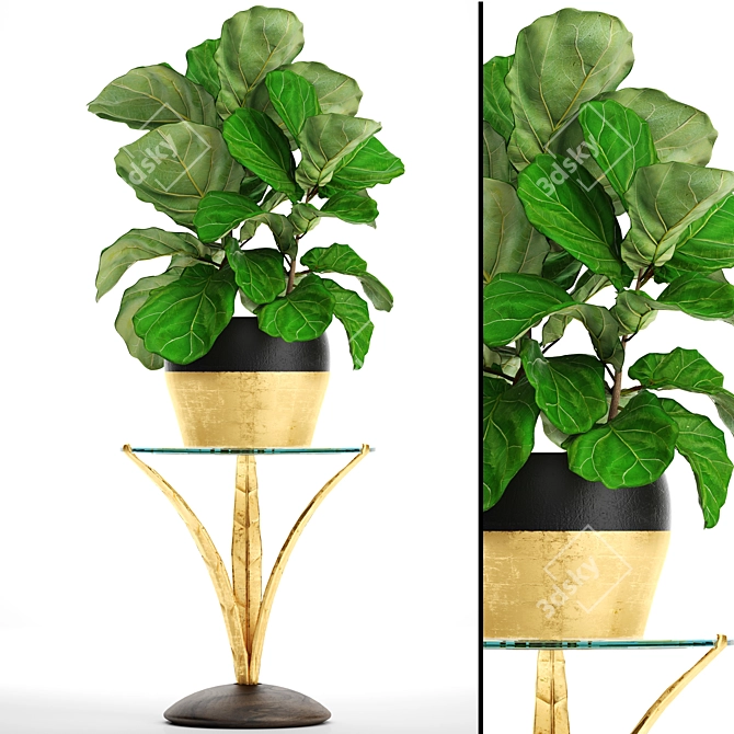 Ficus Lyrate Occasional Table 3D model image 1