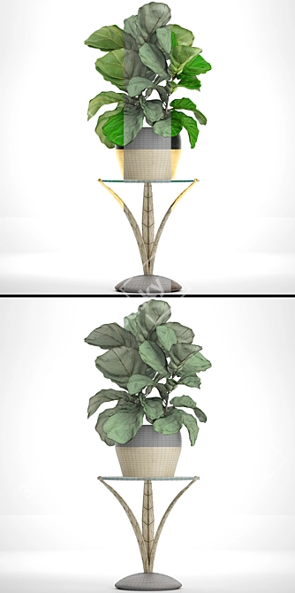 Ficus Lyrate Occasional Table 3D model image 3