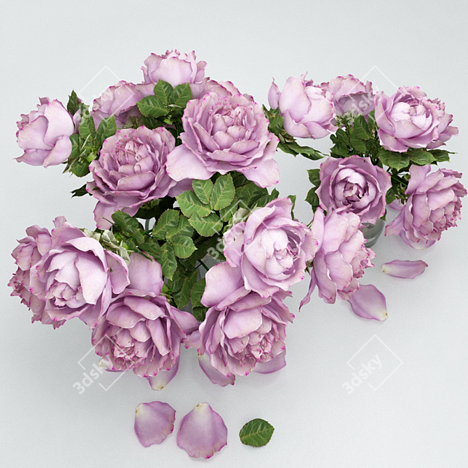 Wild Rose Beauty Set 3D model image 2