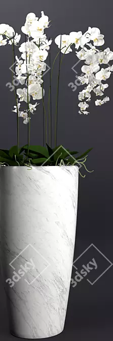 Exquisite Orchid 3D Model 3D model image 3
