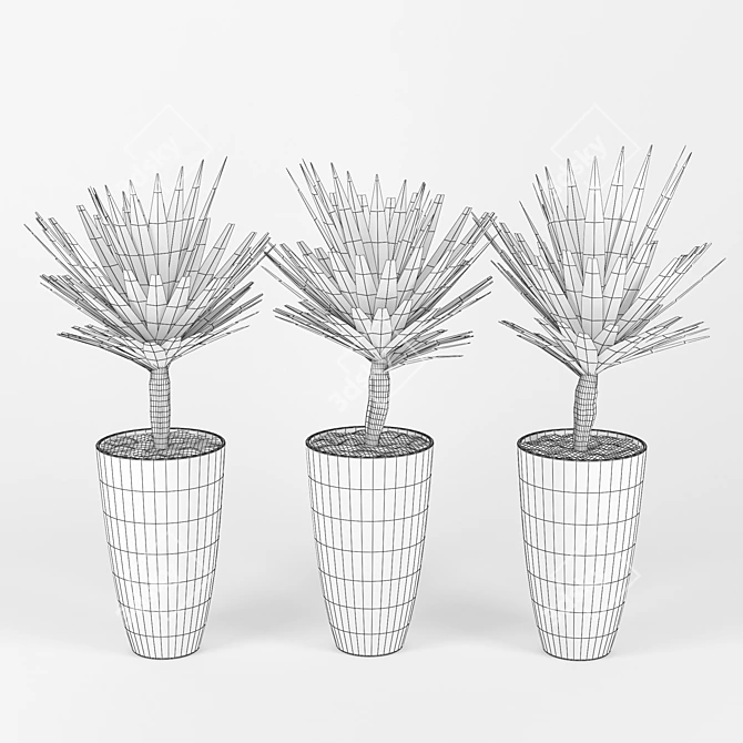 Realistic Palm Tree 3D Model 3D model image 2