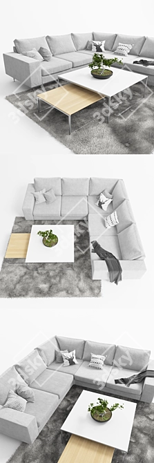 Modern Boconcept Indivi Sofa with Coffee Tables and Bonsai 3D model image 2