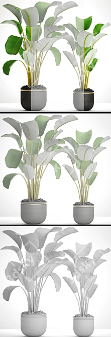 Botanical Pot Collection 3D model image 3