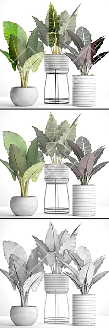 Tropical Pot Plant Collection 3D model image 3