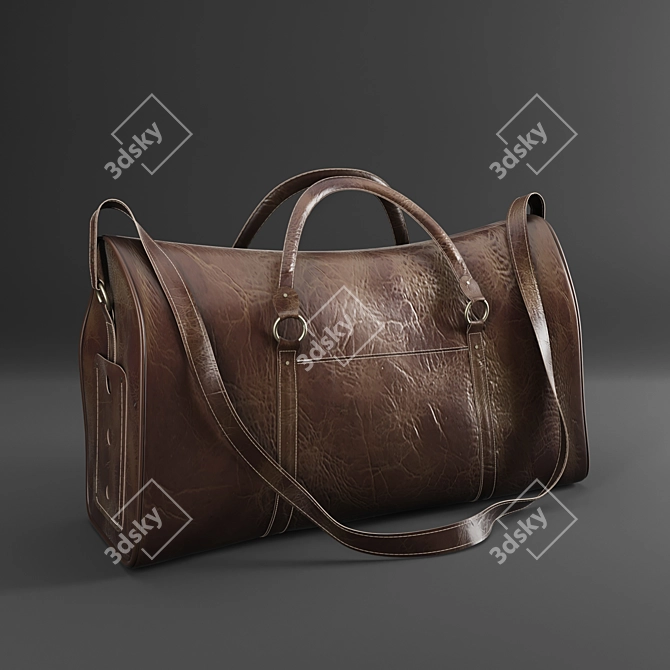 Skin Bag 2016-2014: Stylish Business Bag 3D model image 1