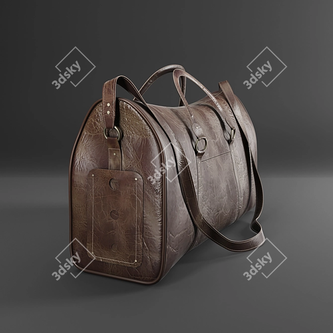 Skin Bag 2016-2014: Stylish Business Bag 3D model image 2